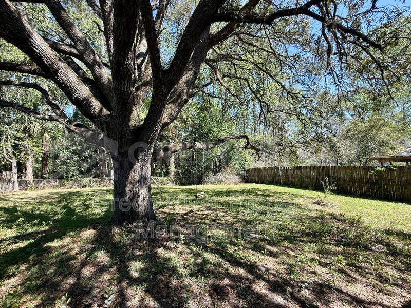 Freshly 3 bedroom, 1.5 bath Updated Westside Charmer  - New Carpet, Fresh Paint & Big Fenced Backyard property image