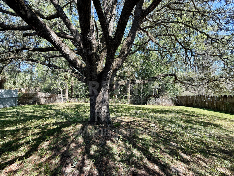 Freshly 3 bedroom, 1.5 bath Updated Westside Charmer  - New Carpet, Fresh Paint & Big Fenced Backyard property image