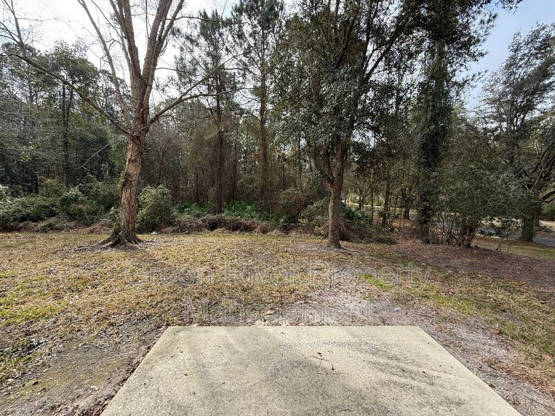 One-Story End Unit Oasis Backing to Preserve - No Carpet + Plantation Amenities!! property image